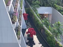 -RISE RESTAURANT(滨海湾金沙店)