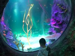 -沈阳海洋探索中心