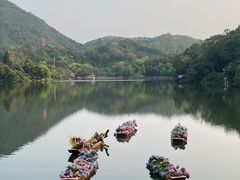 -深圳仙湖植物园