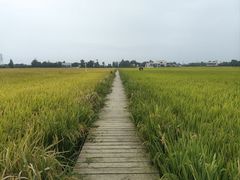 -九尺赵老四鲜鹅肠火锅