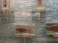 -下渚湖国家湿地公园科普馆