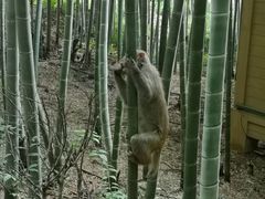 -苏州环秀晓筑养生度假村