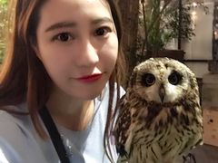 -清迈夜间动物园