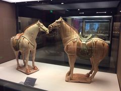 -西安大唐西市博物馆