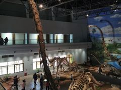 -自贡恐龙博物馆