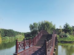 -南湖湿地公园