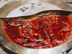 -小龙坎火锅(总店)