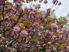 -上海市龙华烈士陵园