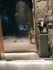 -美壹生皮肤管理中心