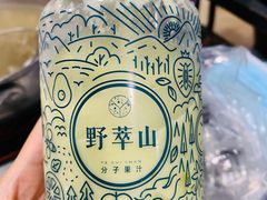 -野萃山·潮汕厚果汁(十亩地店)