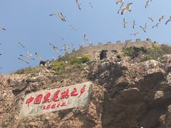 -海驴岛(荣成市)