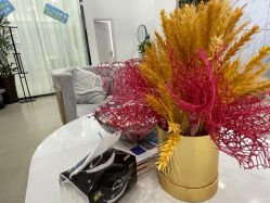 -SOR索尔祛痘·面部肌肤管理