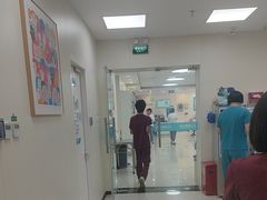 -美联众合动物医院·24h京西诊疗中心