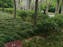 -郑州植物园