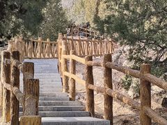 -白水寺森林公园