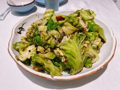 酱爆洋白菜-昱德来·天津菜(河西店)