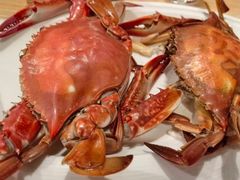-日月昇渔家菜·海肠捞饭·大连海鲜(星海公园店)