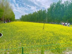 -长白岛森林公园