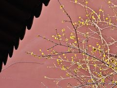 -钱王祠