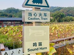 -红山村