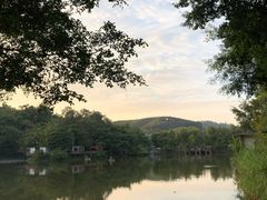 -老木棉·匠园