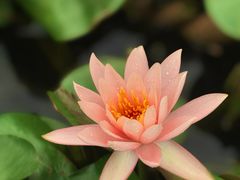 -苏州上方山国家森林公园