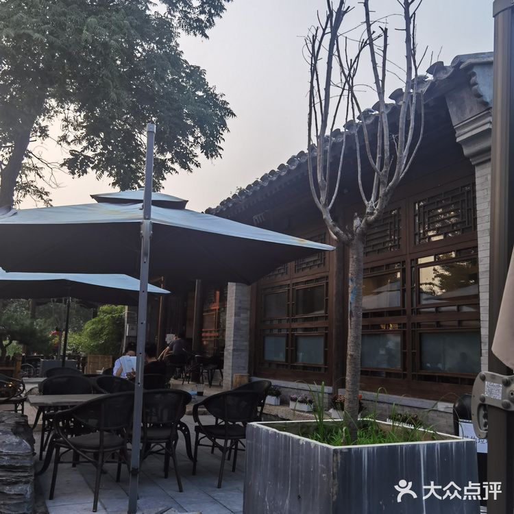 饭后闲逛，茶鱼乘凉