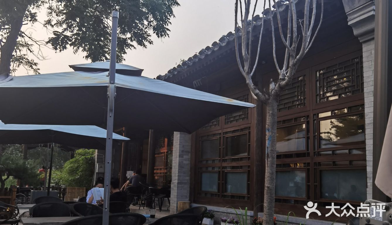 饭后闲逛,茶鱼乘凉