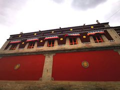 -塔尔寺-菩提树