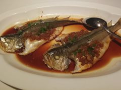 鸡油蒸仙子鱼-悦海堂(金融街购物中心店)