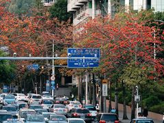 -深圳国际园林花卉博览园