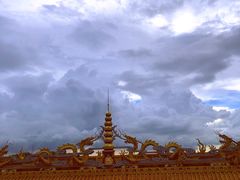 -东莞市大岭山森林公园