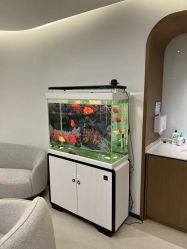 -丰联丽格医疗美容·联合丽格眼整形中心