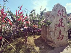 -桃花岛风景旅游区