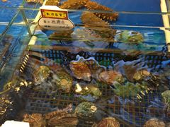 活海参-大连湾旭日饭店(大连湾店)