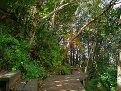 -白草畔自然风景区