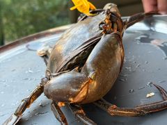 -Ministry of Crab•MOC(交子大道店)