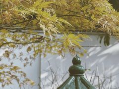 -广富林郊野公园