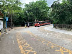 -深圳野生动物园