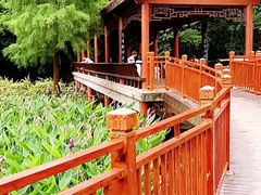 -重庆彩云湖湿地公园