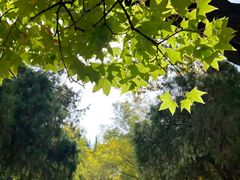 -山东大学(趵突泉校区)