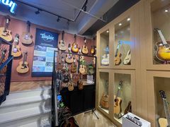 -柏斯琴行(汾阳店)