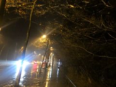 -宋宴(虎跑店)