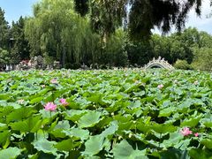 -莲池书院博物馆