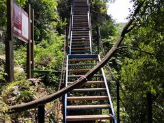 -水墨汀溪风景区