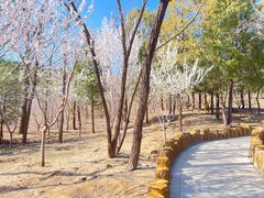 -白水寺森林公园