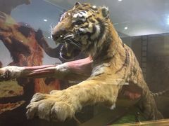大连金石滩滨海国家地质公园-大连金石滩滨海国家地质公园