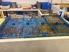 -木木鲜海鲜面(天一店)