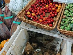 -五里多农博广场