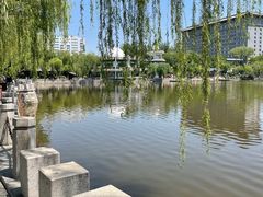 -文瀛公园